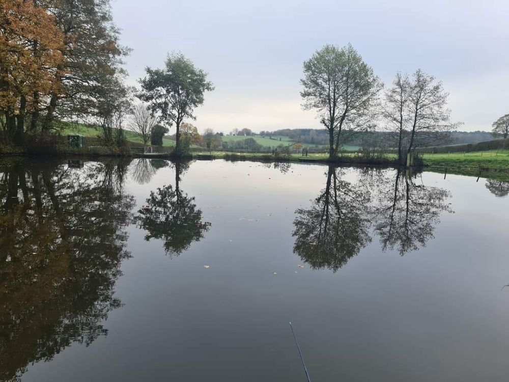 Wild's Farm Pool