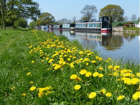 Shropshire Canal