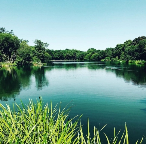 smithpool Smithpool